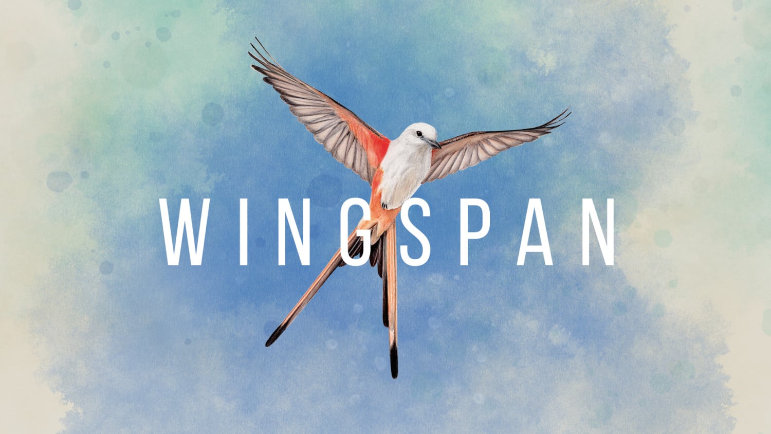 Wingspan – 33 minuten gameplay