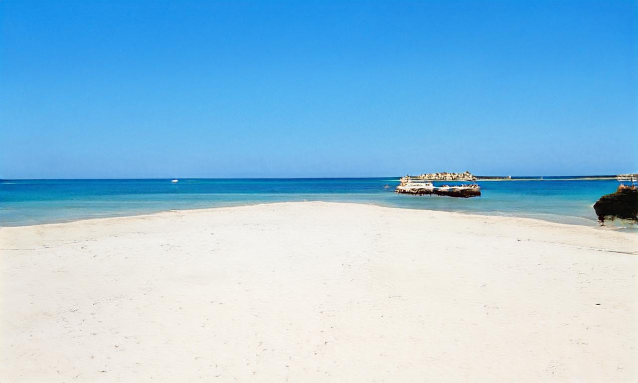 zeldafan1996 zeldafan1996