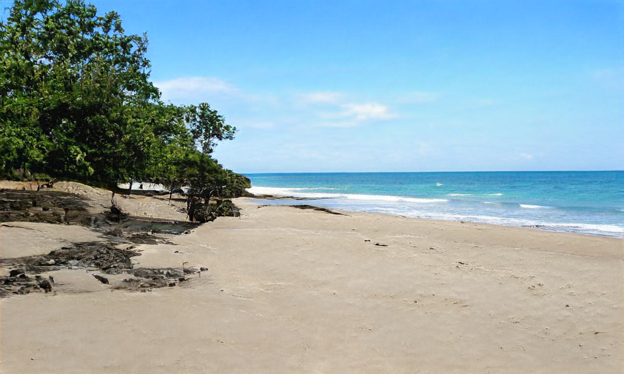 zeldamage21 zeldamage21