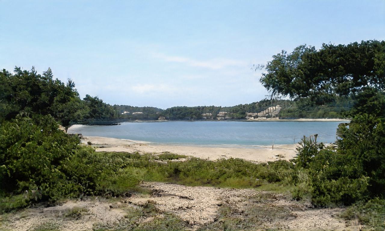 zeldanag zeldanag
