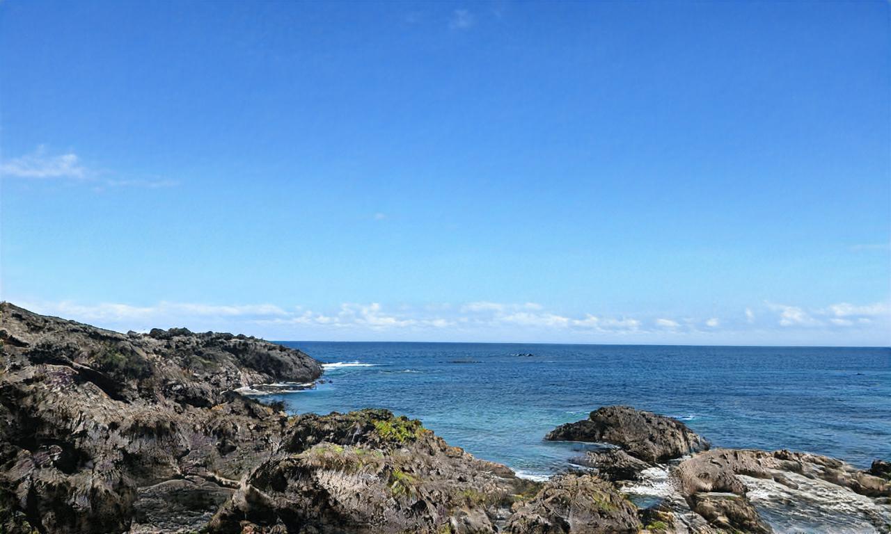 zeldavortex zeldavortex